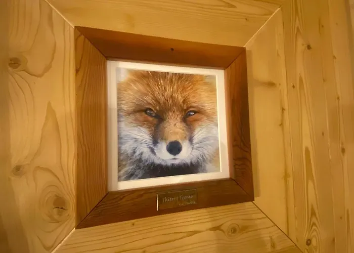 La Tana شقة مورجيكس